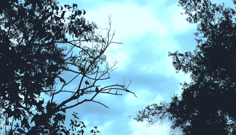 Filming Continues for Christos N. Karakasis' New Essay Film "The Gaze"